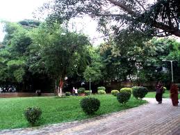 Parks in Pune - Vartak Udyan